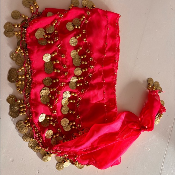 Fuchsia Coin Hip Scarf with Gold Coins for dogs - Picture 4 of 4